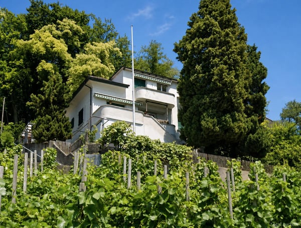 Aperçu de l'image de l'immobilier
