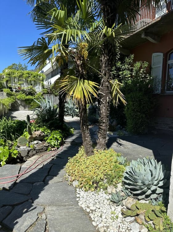 Garten-Wohnung mit Cheminée & Pergola 13