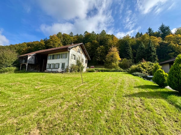 Attraktive Liegenschaft mit Entwicklungspotenzial in Murgenthal! 2