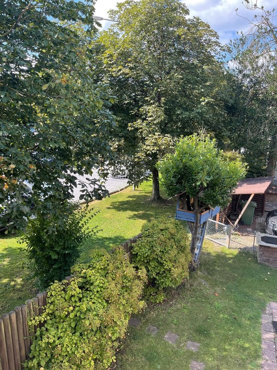 Charmantes 1.5 Zimmer-Einfamilienhaus in Dietikon mit Garten 16