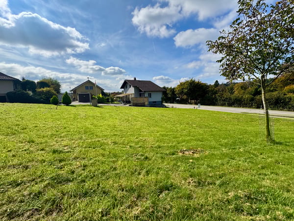 Attraktive Liegenschaft mit Entwicklungspotenzial in Murgenthal! 2