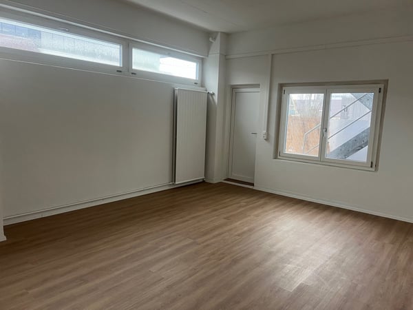 ARBEITEN UND WOHNEN in Gewerbeobjekt in Allschwil 11