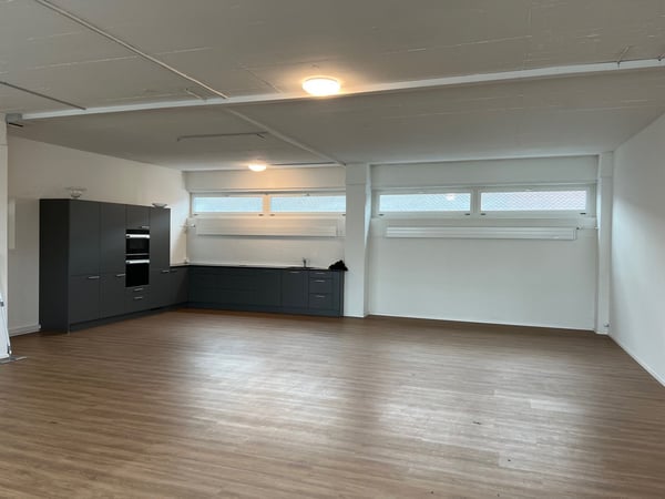 ARBEITEN UND WOHNEN in Gewerbeobjekt in Allschwil 3