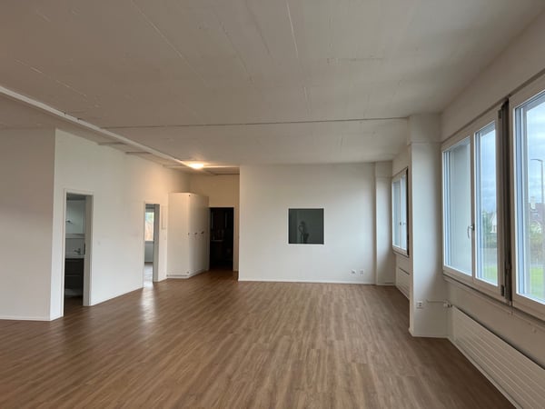 ARBEITEN UND WOHNEN in Gewerbeobjekt in Allschwil 9