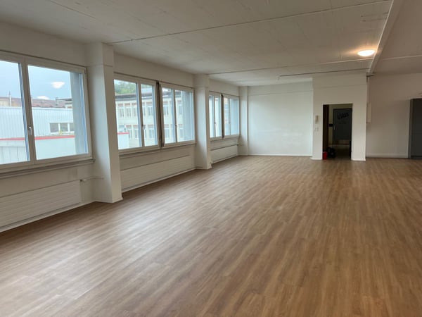 ARBEITEN UND WOHNEN in Gewerbeobjekt in Allschwil 2