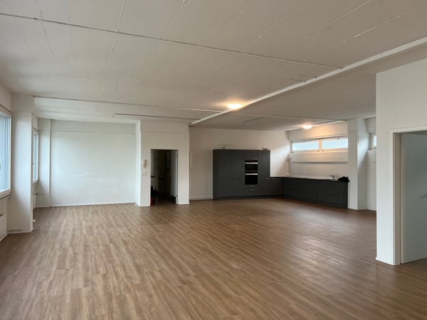 ARBEITEN UND WOHNEN in Gewerbeobjekt in Allschwil 1