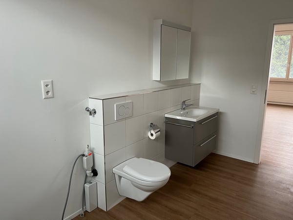 ARBEITEN UND WOHNEN in Gewerbeobjekt in Allschwil 17