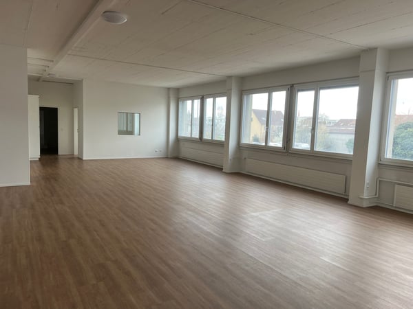 ARBEITEN UND WOHNEN in Gewerbeobjekt in Allschwil 8