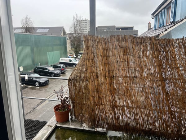 ARBEITEN UND WOHNEN in Gewerbeobjekt in Allschwil 15