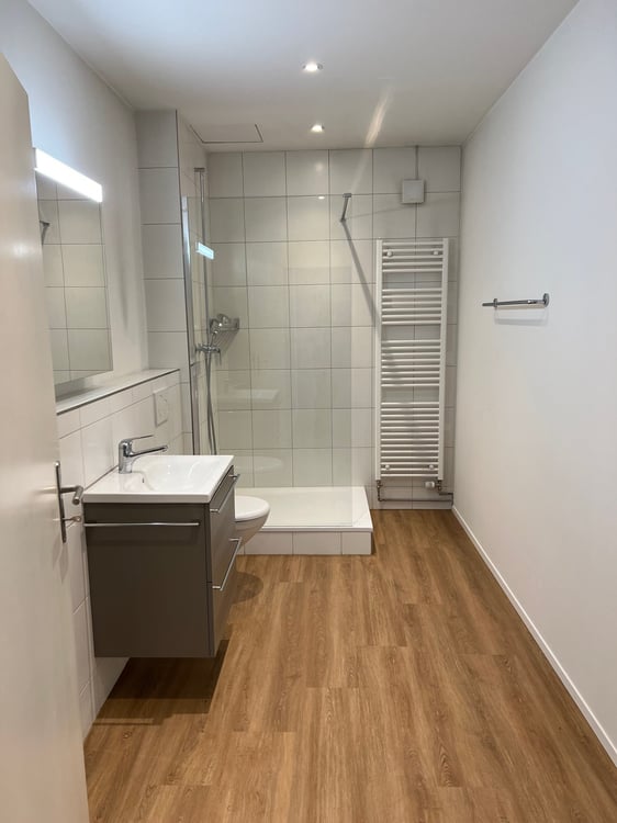 ARBEITEN UND WOHNEN in Gewerbeobjekt in Allschwil 14