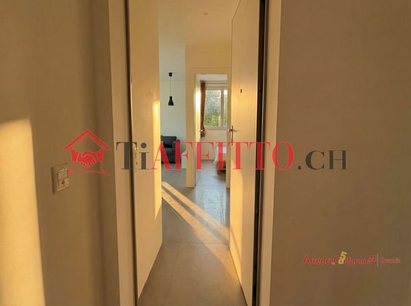 2,5 LOCALI PARZIALMENTE AMMOBILIATO 3
