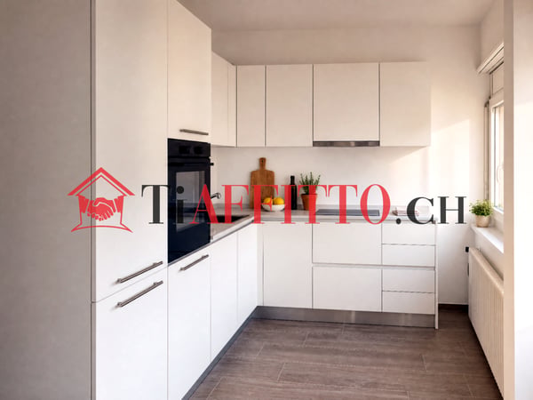 ACCOGLIENTE 2.5 A BELLINZONA 2