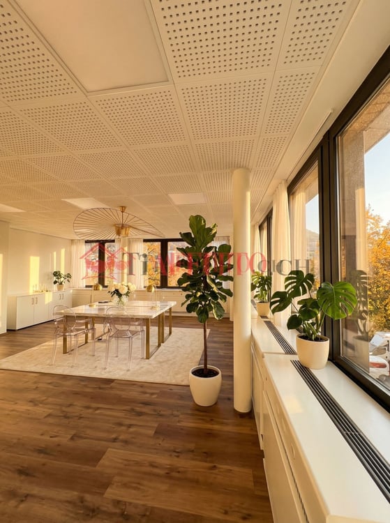 UFFICIO DI PRESTIGIO COMPLETAMENTE RISTRUTTURATO 1