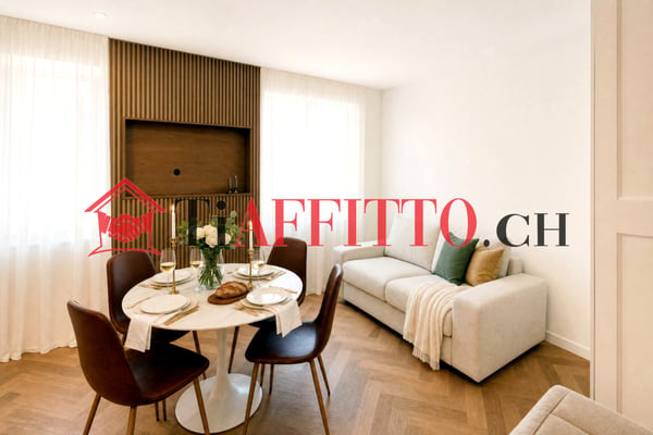 LUSSUOSO LOFT ARREDATO NEL CUORE DI LUGANO 2