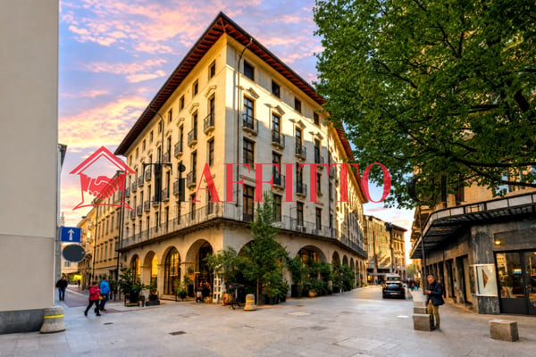 LUSSUOSO LOFT ARREDATO NEL CUORE DI LUGANO 10