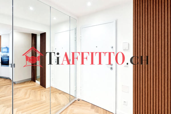LUSSUOSO LOFT ARREDATO NEL CUORE DI LUGANO 5