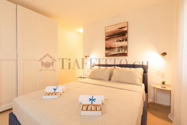 SPLENDIDO DUPLEX CON GIARDINO NEL CUORE DI LUGANO 1