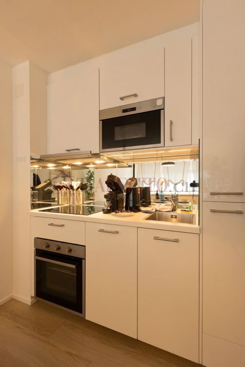 SPLENDIDO DUPLEX CON GIARDINO NEL CUORE DI LUGANO 7