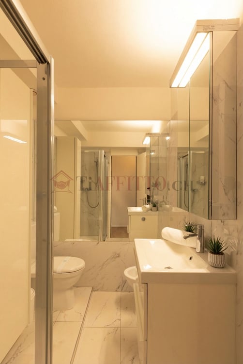 SPLENDIDO DUPLEX CON GIARDINO NEL CUORE DI LUGANO 8