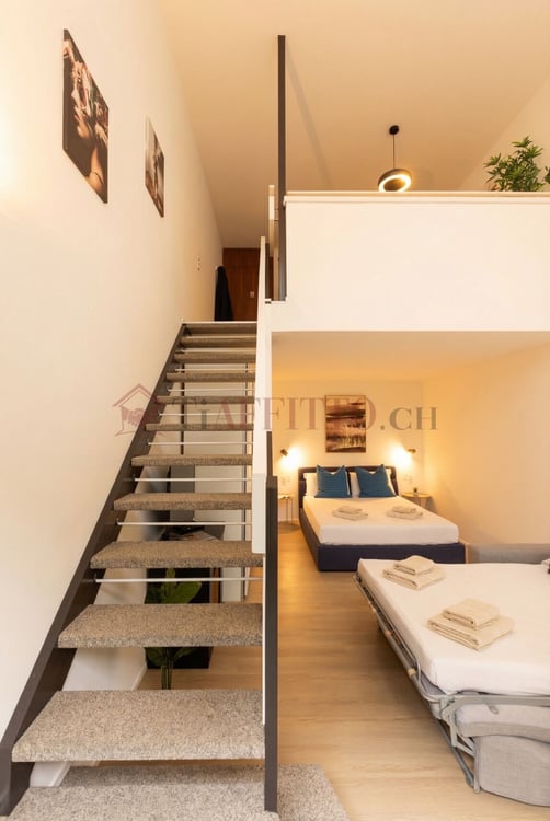 SPLENDIDO DUPLEX CON GIARDINO NEL CUORE DI LUGANO 2