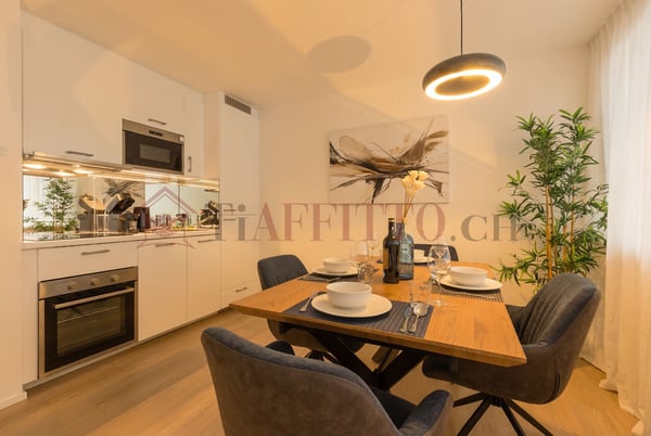 SPLENDIDO DUPLEX CON GIARDINO NEL CUORE DI LUGANO 4