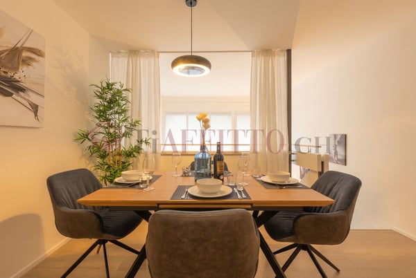 SPLENDIDO DUPLEX CON GIARDINO NEL CUORE DI LUGANO 5