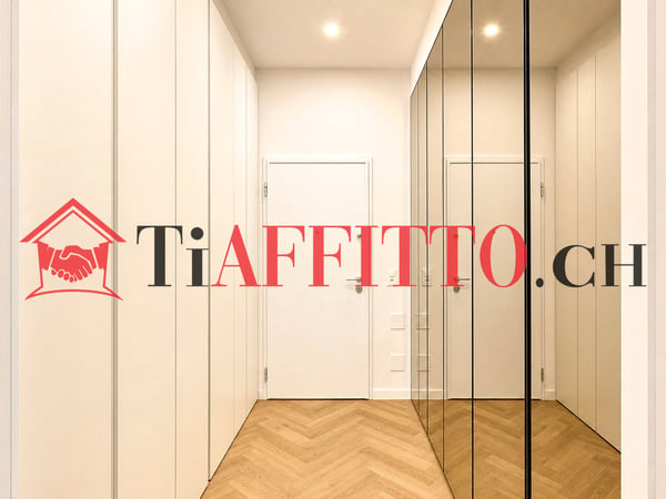 UN SOGNO CHIAMATO LUGANO, 1.5 ARREDATO IN CENTRO 11