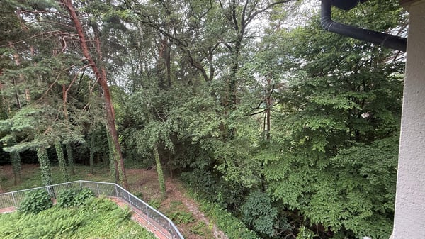 Prestigiosa villa di lusso con piscina a Venegono Inferiore 19