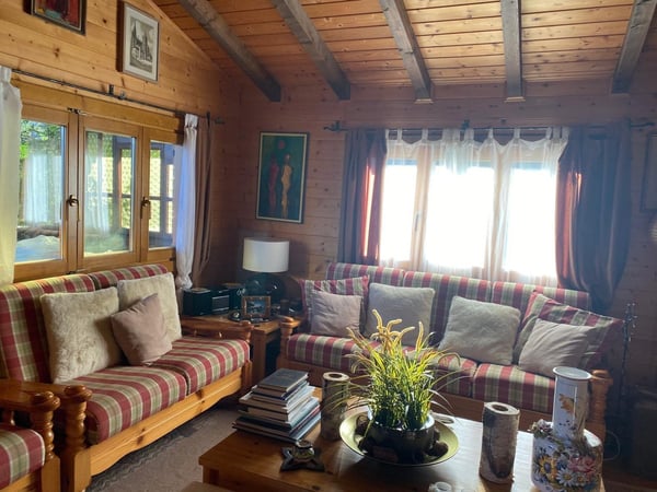 Chalet immerso nella natura a Mesocco 8