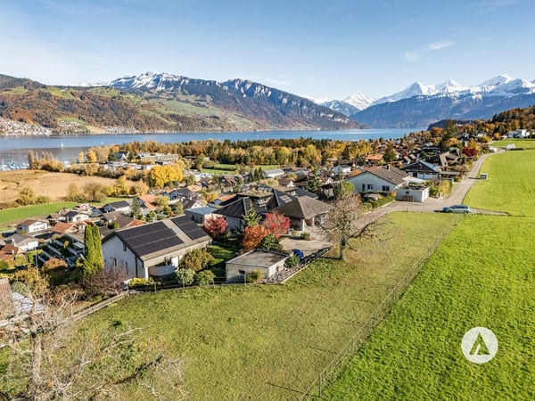 Ein Logenplatz über dem Thunersee 4