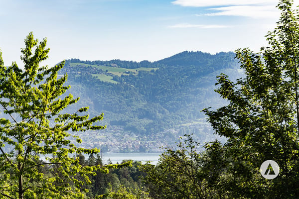 Bauland zwischen See und Wälder 7