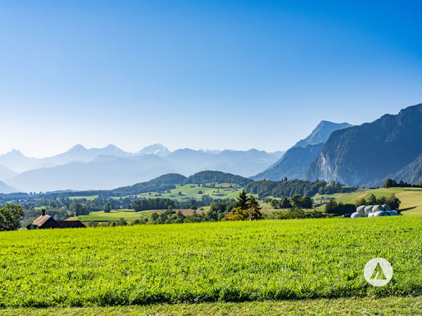 Historisches Liebhaberobjekt mit Naturidyll 5