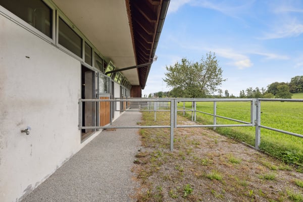 Reithof mit 4-5 Boxen und Reithalle 9