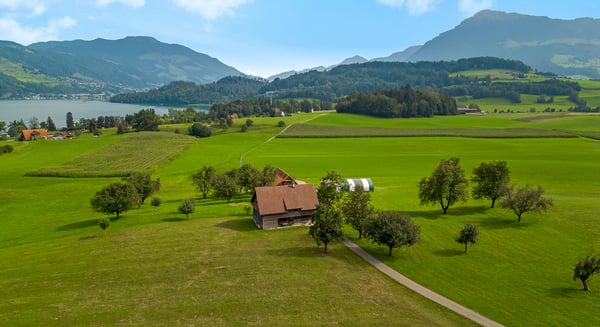 Liegenschaft mit bewilligtem Umbauprojekt in Risch 5