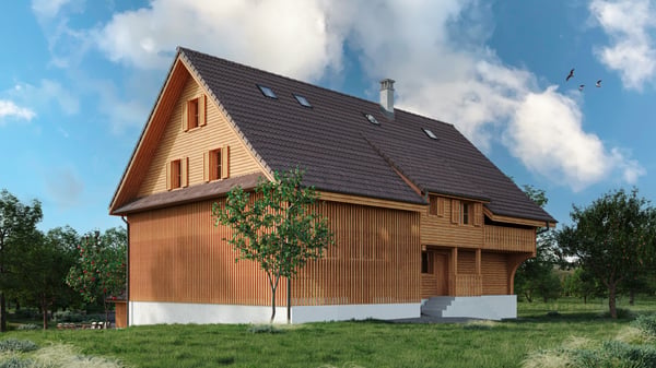 Liegenschaft mit bewilligtem Umbauprojekt in Risch 1