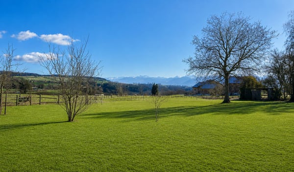 Ravissante maison familiale avec grand jardin et vue 11