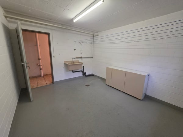 Schöne 4.5-Zimmer-Dachwohnung in Gossau - ruhig gelegen und doch zentral 16