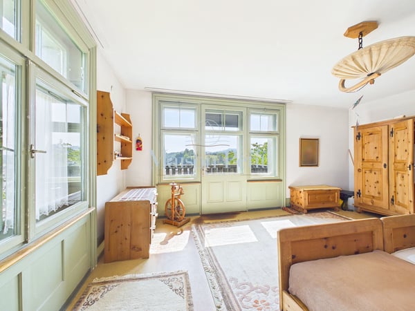 Historische 12.5-Zimmer-Villa mit grandiosem Entwicklungspotential 6
