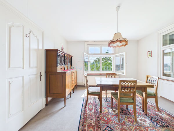 Historische 12.5-Zimmer-Villa mit grandiosem Entwicklungspotential 5