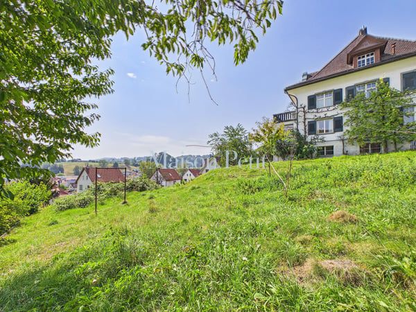 Historische 12.5-Zimmer-Villa mit grandiosem Entwicklungspotential 2