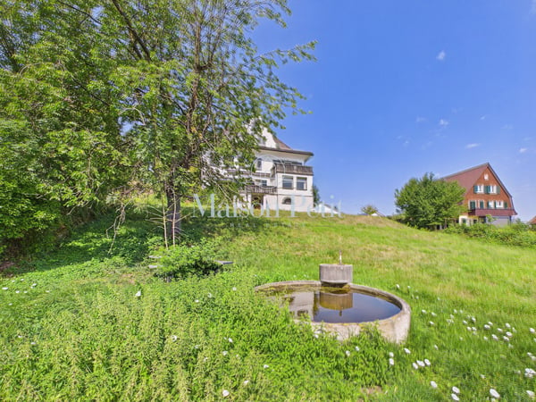 Historische 12.5-Zimmer-Villa mit grandiosem Entwicklungspotential 7