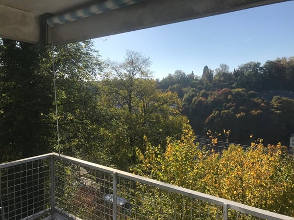 Geräumige 3.5 Zimmerwohnung 10