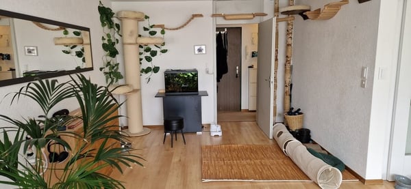 Charmante 2.5-Zimmerwohnung in Rubigen 3