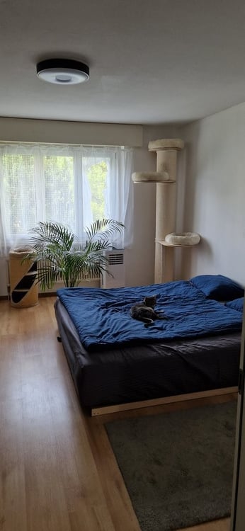 Charmante 2.5-Zimmerwohnung in Rubigen 5