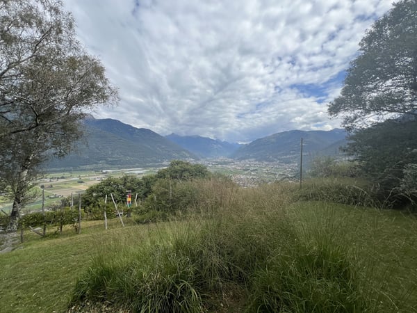3.5-Zimmer-Rustico mit viel Land in S. Antonino kaufen 8
