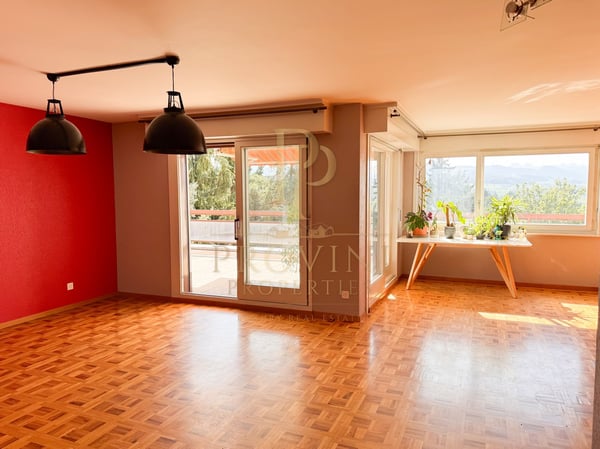 Attique 7.5 pièces – 154 m² habitables – Terrasse plein sud de 110 m² et vue panoramique 2