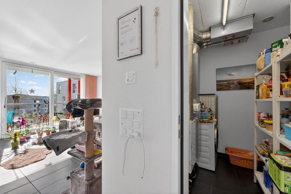 Sonnige 1.5-Zimmer-Gartenwohnung mit Balkon und grossem Gartensitzplatz 6