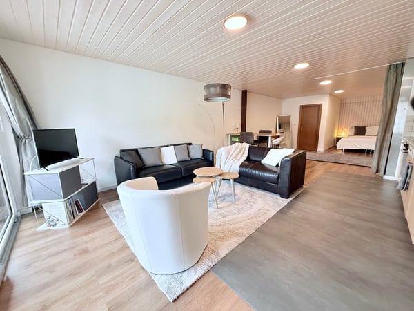 Loft meublé 1,5 pièce — tout compris — Courfaivre 1