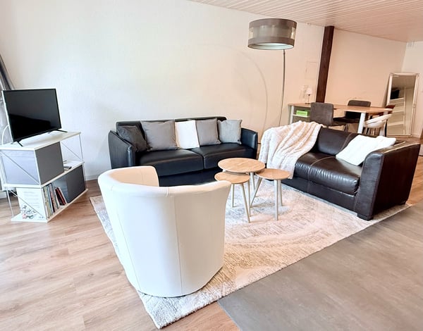 Loft meublé 1,5 pièce — tout compris — Courfaivre 2