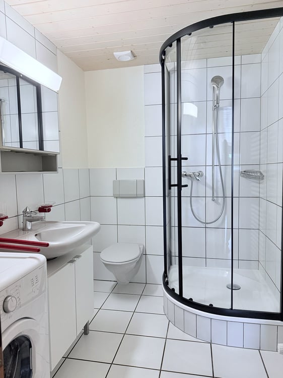 Loft meublé 1,5 pièce — tout compris — Courfaivre 10